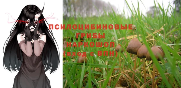 ПСИЛОЦИБИНОВЫЕ ГРИБЫ Слюдянка